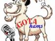 Gotahams Goat 